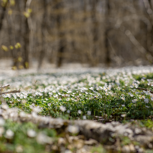 Photo #13877672