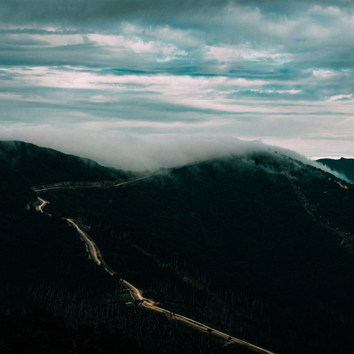 Photo #13877673