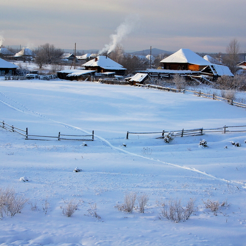 Photo #13877747