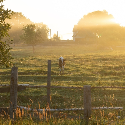 Photo #13877919