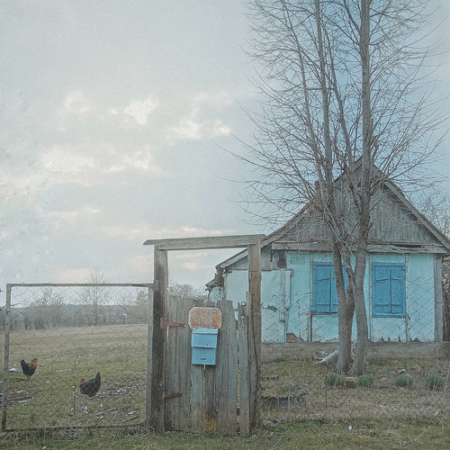 Photo #13877962