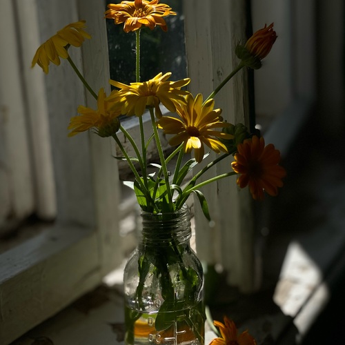 Photo #13878018