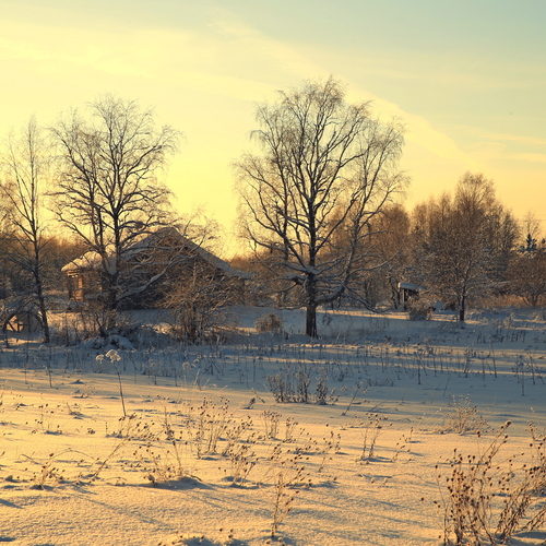 Photo #13878070