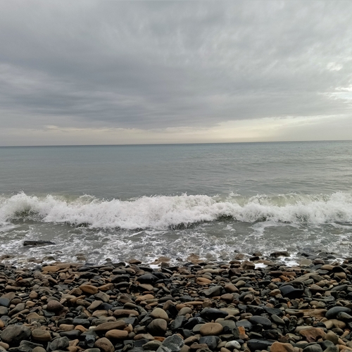 Photo #13878080
