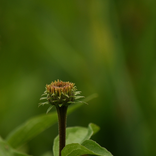 Photo #13878100