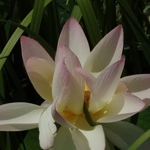 Photo #13878125