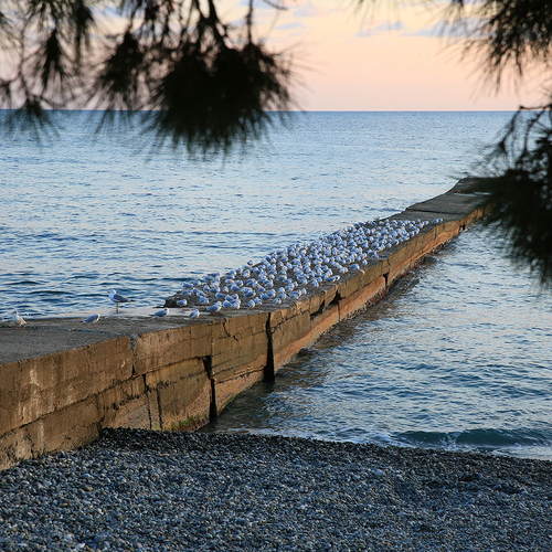 Photo #13878257