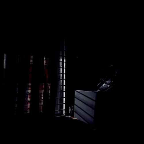 Photo #13878275