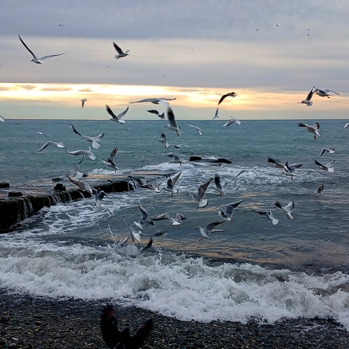 Photo #13878390