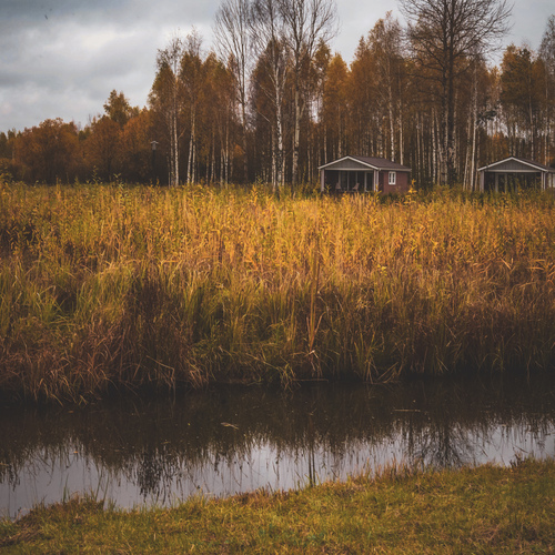 Photo #13878489