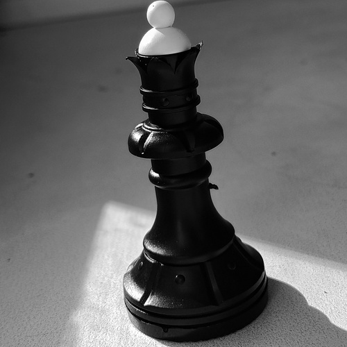 Photo #13878647