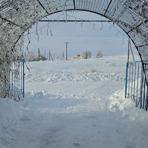 Photo #13878652