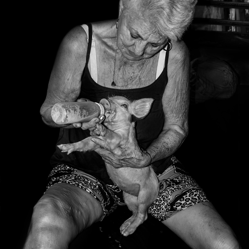 Photo #13878712