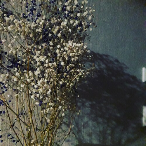 Photo #13878734