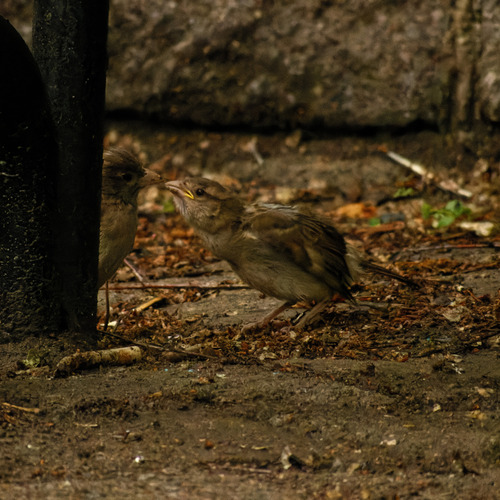 Photo #13878778