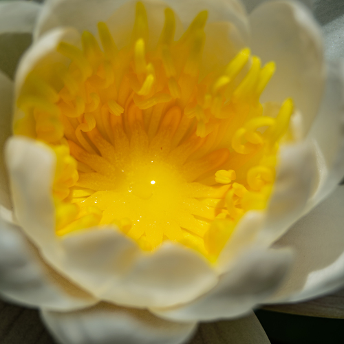 Photo #13878806