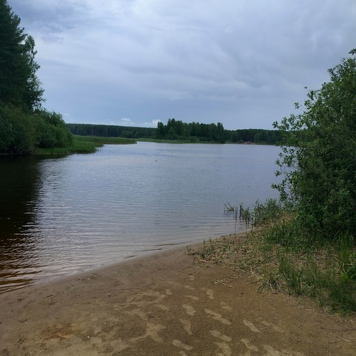 Photo #13878853