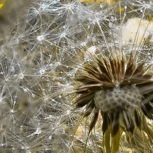 Photo #13878882