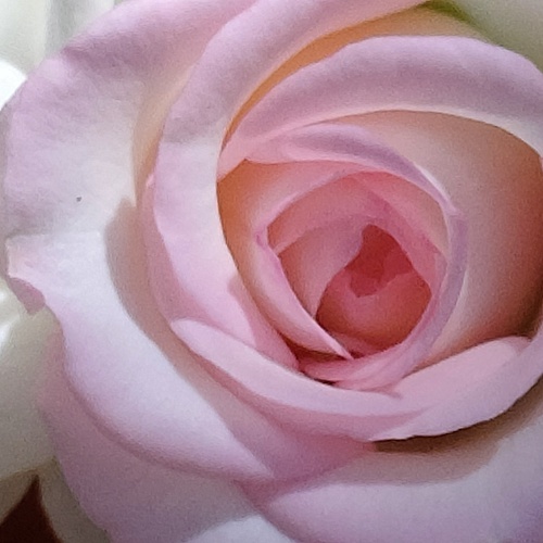 Photo #13878912