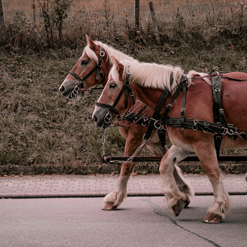 Photo #13878925