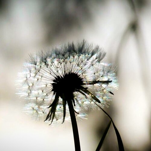 Photo #13878958