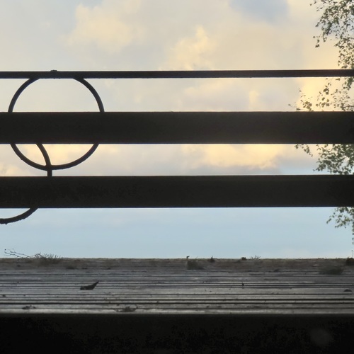 Photo #13878961