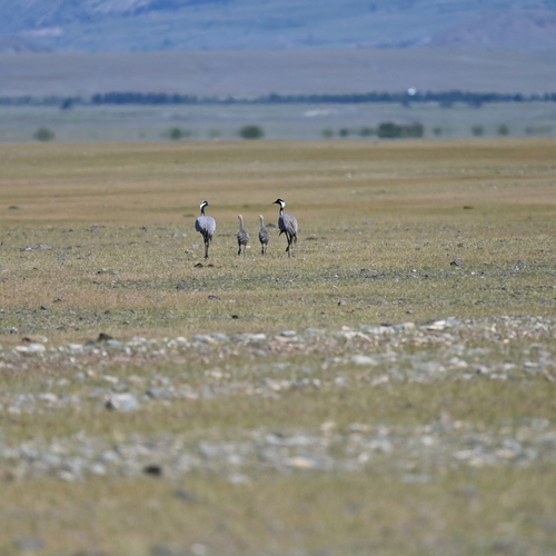 Photo #13878993