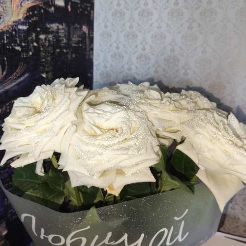 Photo #13879063