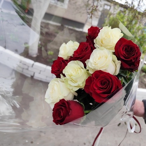 Photo #13879064