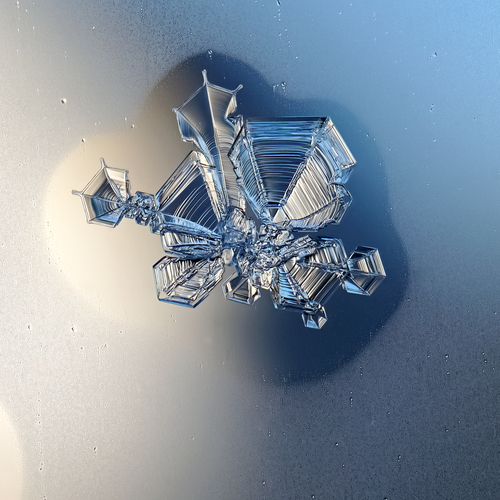 Photo #13879129