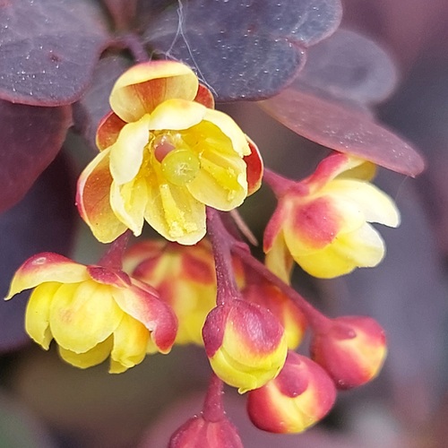 Photo #13879404
