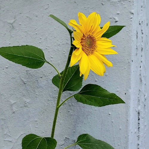 Photo #13879406