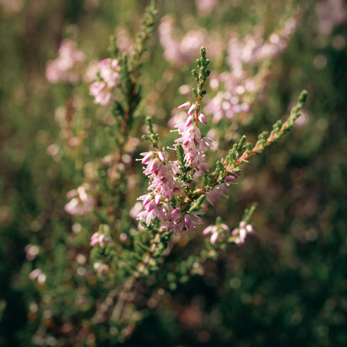 Photo #13879480