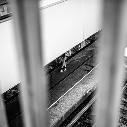 Photo #13879511