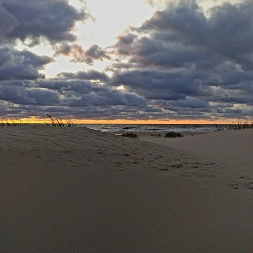 Photo #13879553