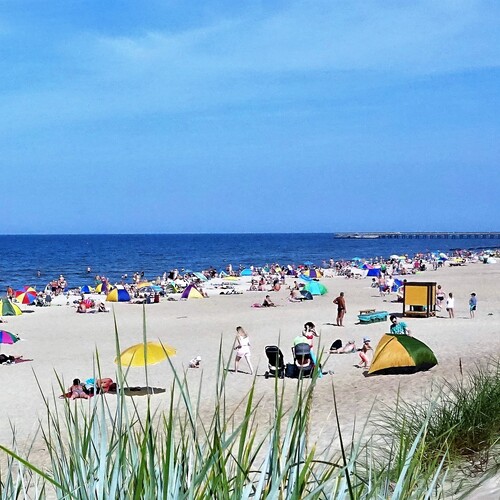 Photo #13879561