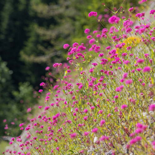 Photo #13879585