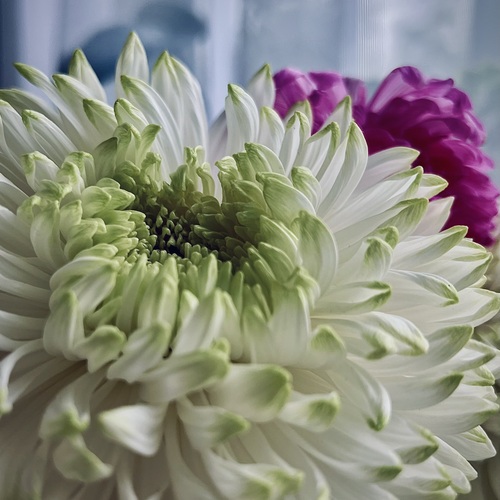 Photo #13879593