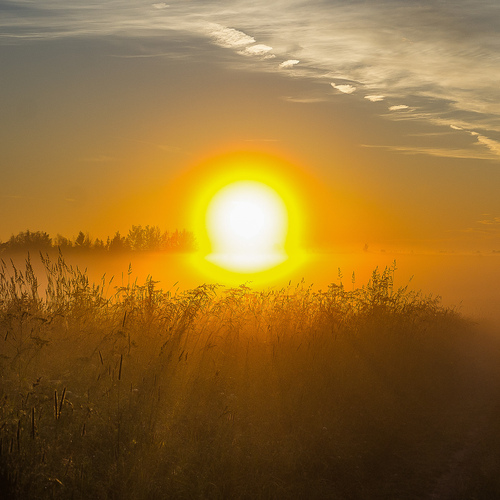 Photo #13879632