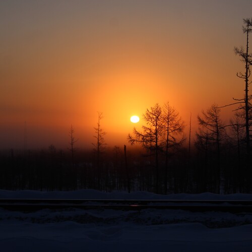 Photo #13879846