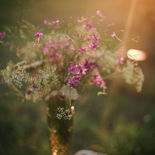 Photo #13879866
