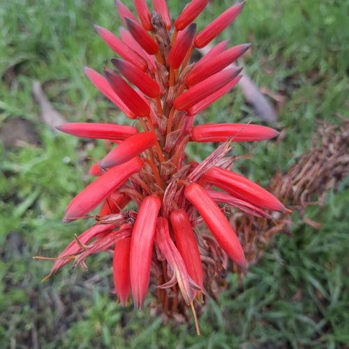 Photo #13879921