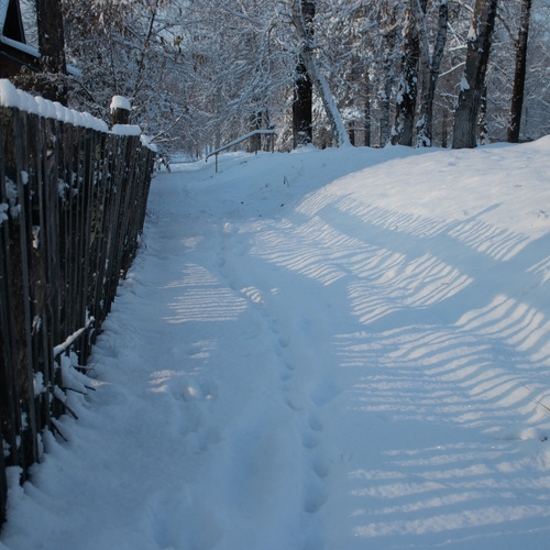 Photo #13879939