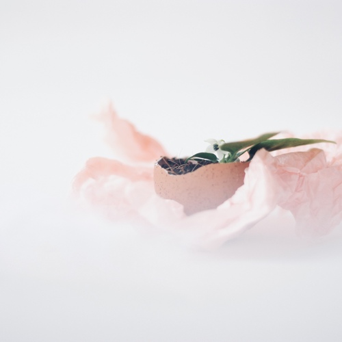 Photo #13880063