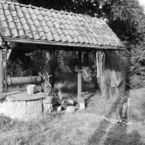 Photo #13880191