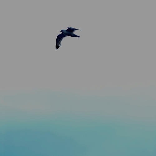 Photo #13880256