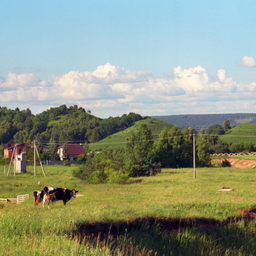 Photo #13880416