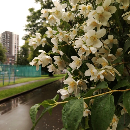 Photo #13880448