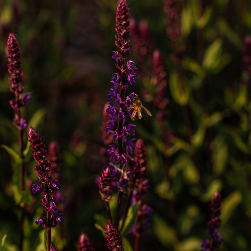 Photo #13880505