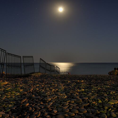 Photo #13880544